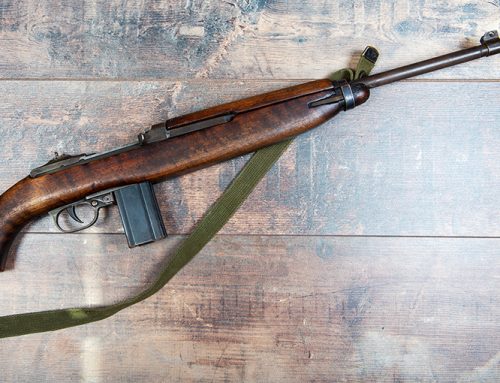 More firearms banned, yellow flag laws introduced