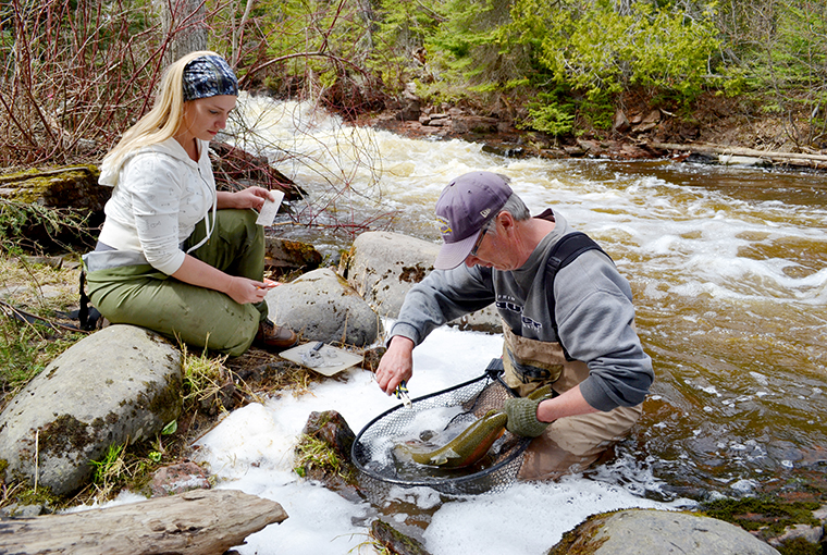 Learning from Portage Creek