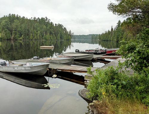 Enjoying Lake Herridge Lodge & Resort
