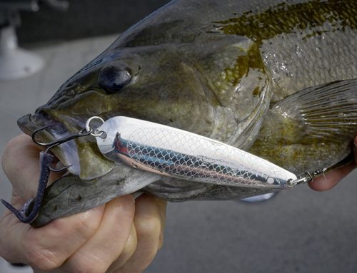 Jigging spoons for summer bass