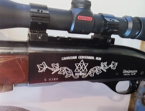 Answering your gun questions