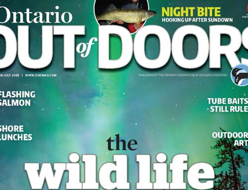 June-July 2025 digital issue available