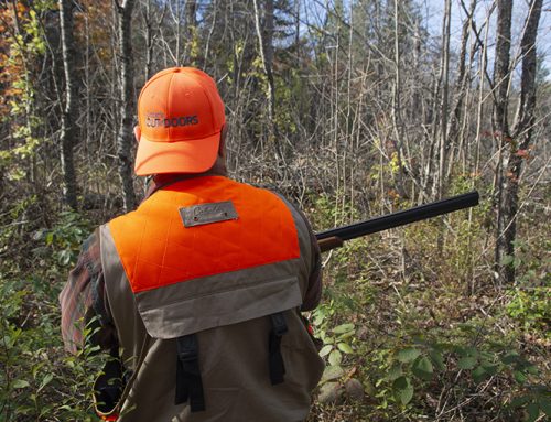 More Sunday hunting added
