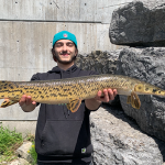 Billy Guarnaschelli of Scarborough caught this gar using a suspending Rapala at the mouth of the Moira River in Belleville.
