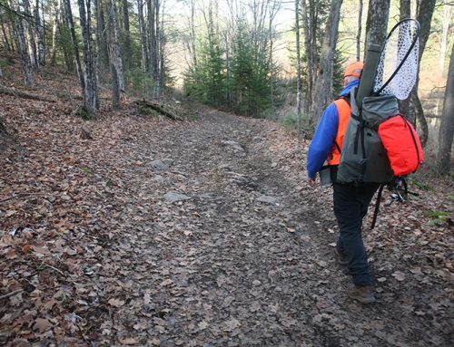 Expect to see more roads on Crown land