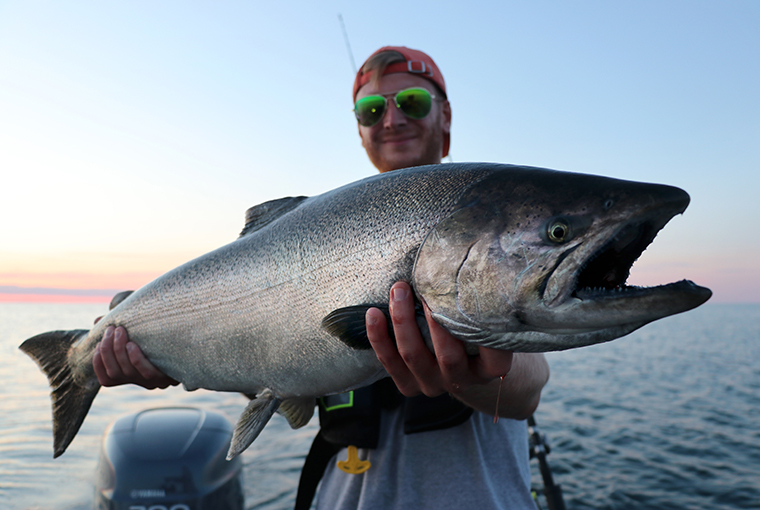 salmon kings 